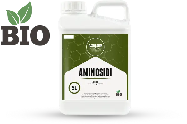 aminosidi