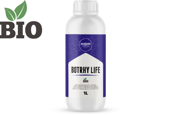 botrhy_life