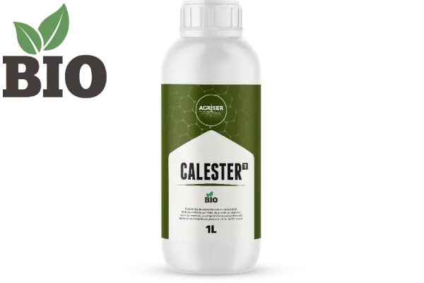 calester_tf