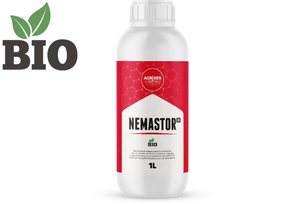 nemastor_ad