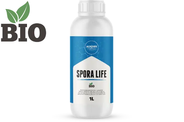 spora_life