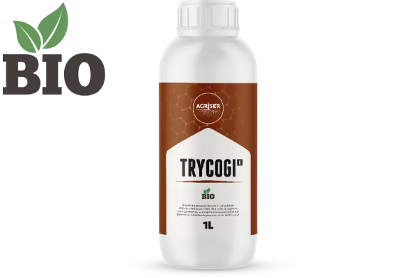 trycogi_k
